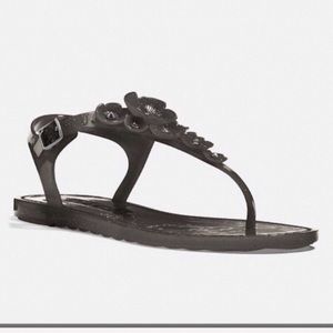 NWOT Coach Jelly Sandals Size 7